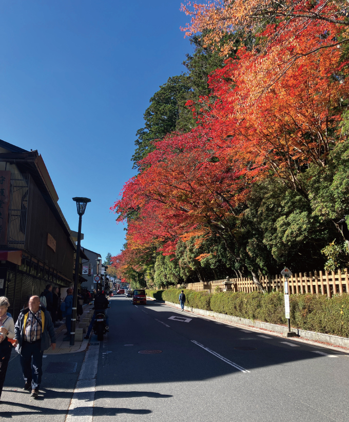 高野山の紅葉