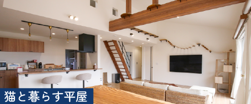 猫と暮らす家｜和歌山の注文住宅の施工事例