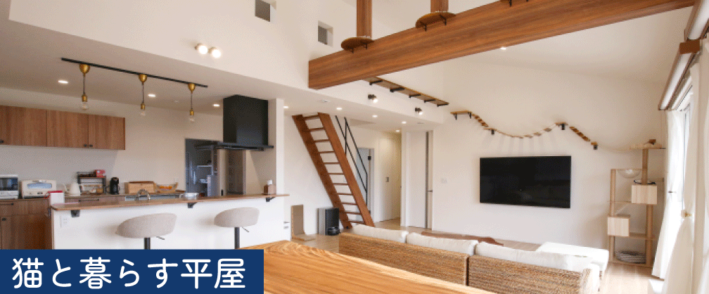 猫と暮らす家｜和歌山の注文住宅の施工事例